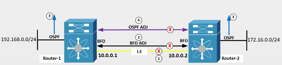O Que é o BFD? Por Que Necessitamos do BFD? | Tech Study Jedi